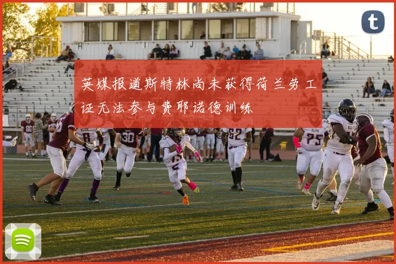 英媒报道斯特林尚未获得荷兰劳工证无法参与费耶诺德训练